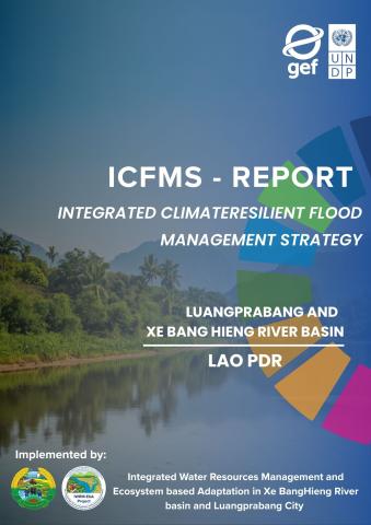 ICFMS